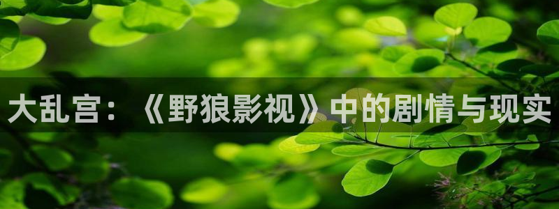 保利电影放映表：大乱宫：《野狼影视》中的剧情与现实