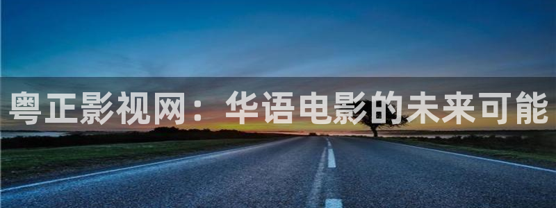 保利国际影城排片表：粤正影视网：华语电影的未来可能