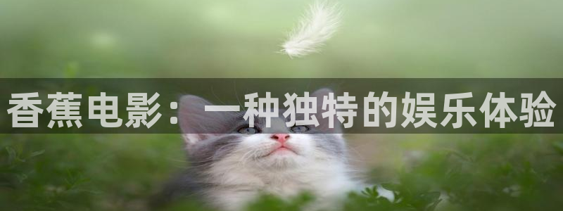 上海保利云间剧场：香蕉电影：一种独特的娱乐体验