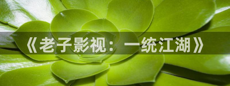 保利万和影院今日影讯：《老子影视：一统江湖》