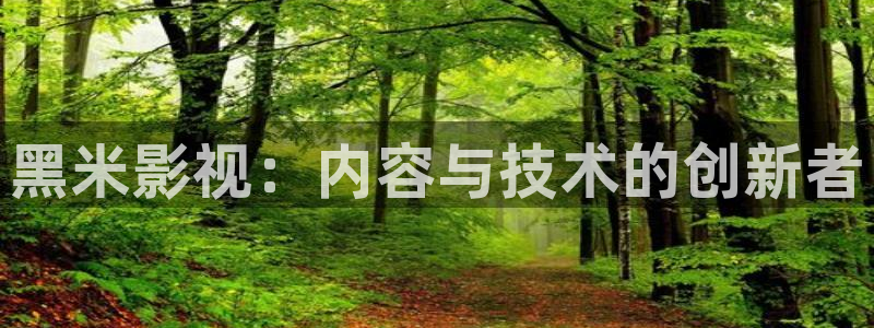 重庆保利万和国际影城：黑米影视：内容与技术的创新者