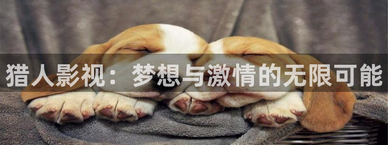 保利万和影院：猎人影视：梦想与激情的无限可能