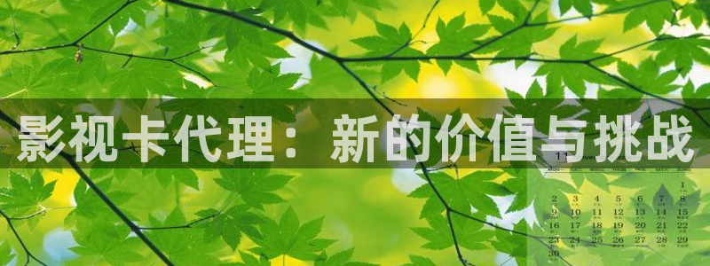 奉节保利万和影院今日影片：影视卡代理：新的价值与挑战