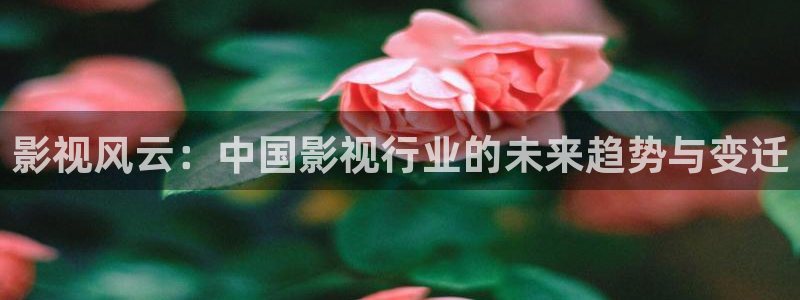 南京保利国际影城今日电影：影视风云：中国影视行业的未来趋势与变迁